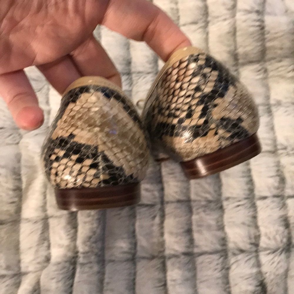 Cute Enzo Angiolini slip in shoes - Picture 5 of 5